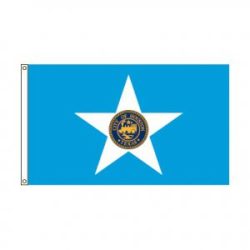 City of Houston flag