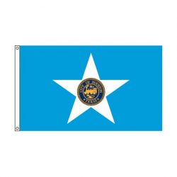 City of Houston flag